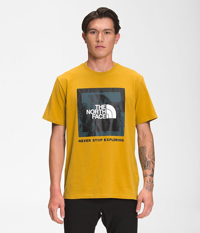 Camiseta The North Face Hombre Amarillo Recycled Climb Gráfico Manga corta 63482ZIYV